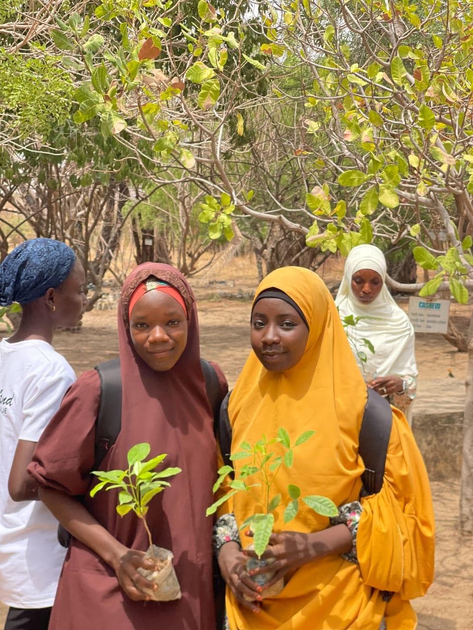 TRF environmental field activity in Northeastern Nigeria