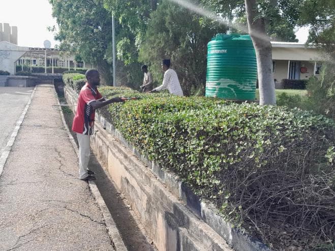 TRF environmental field activity in Northeastern Nigeria