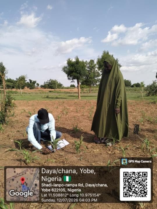 Environmental field monitoring